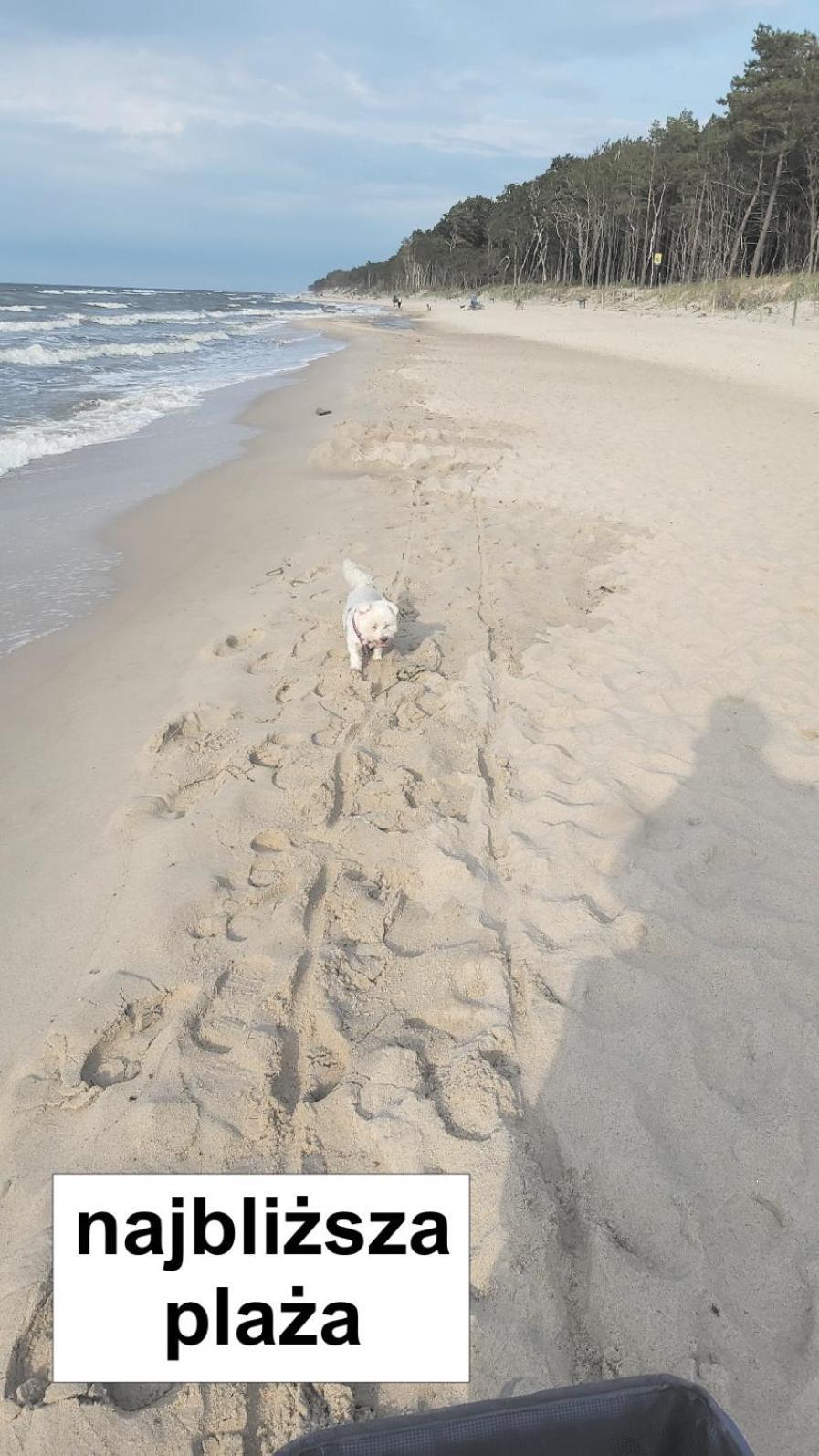 Willa Wieniotowo Apartamenty Przy Lesie I Plazy Ap Am Wald Und Strand Ustronie Morskie Dış mekan fotoğraf